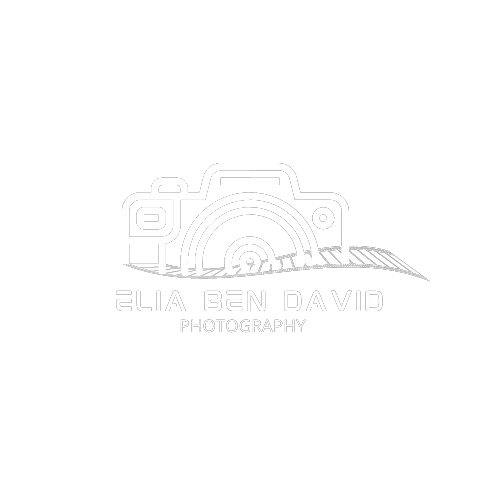 אליה בן דוד צילום אירועים | אירוסין וחינה | הצעות נישואין | בריתות